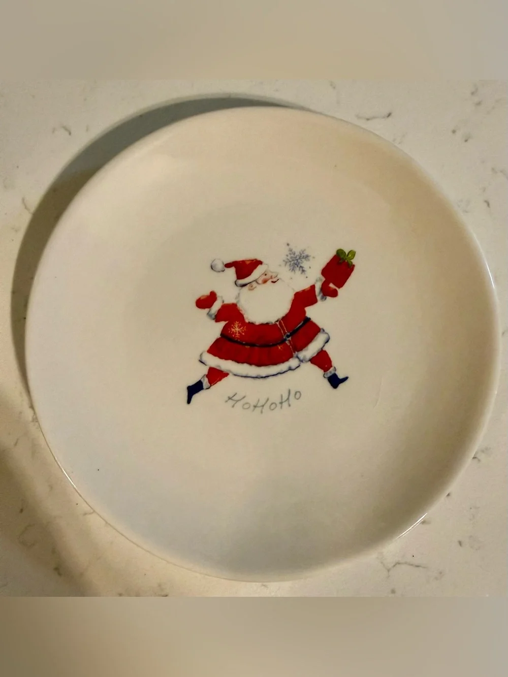 Pier 1 earthenware plate