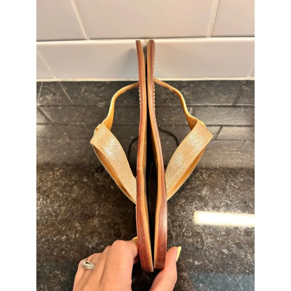 Tory Burch loved 250$