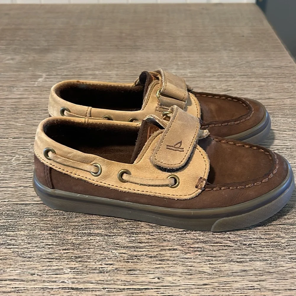 Sperry experience timeless