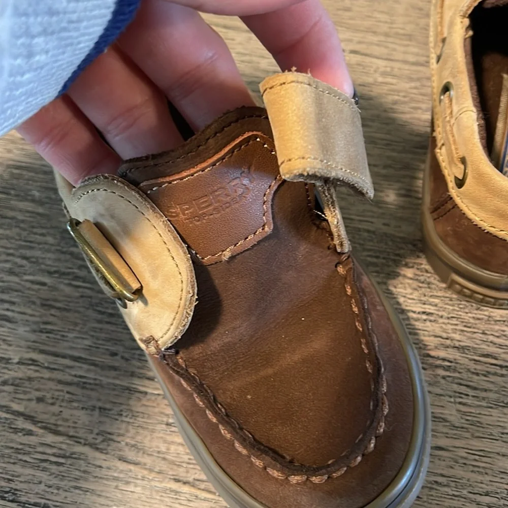 Sperry experience timeless