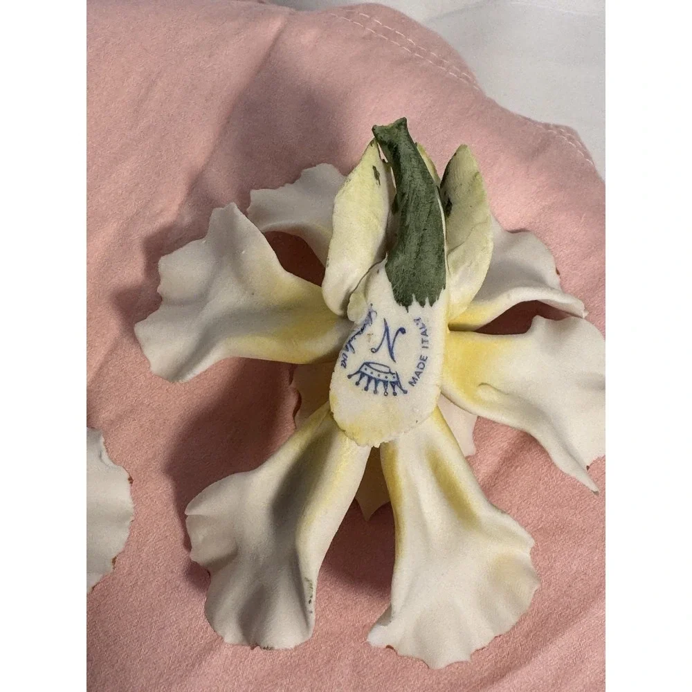 Capodimonte this product