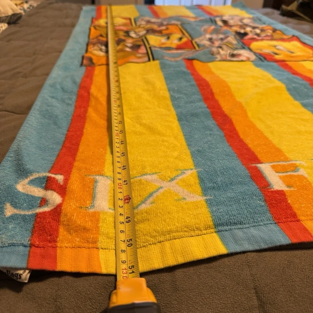 Looney Tunes Mania 51x27 approximately
