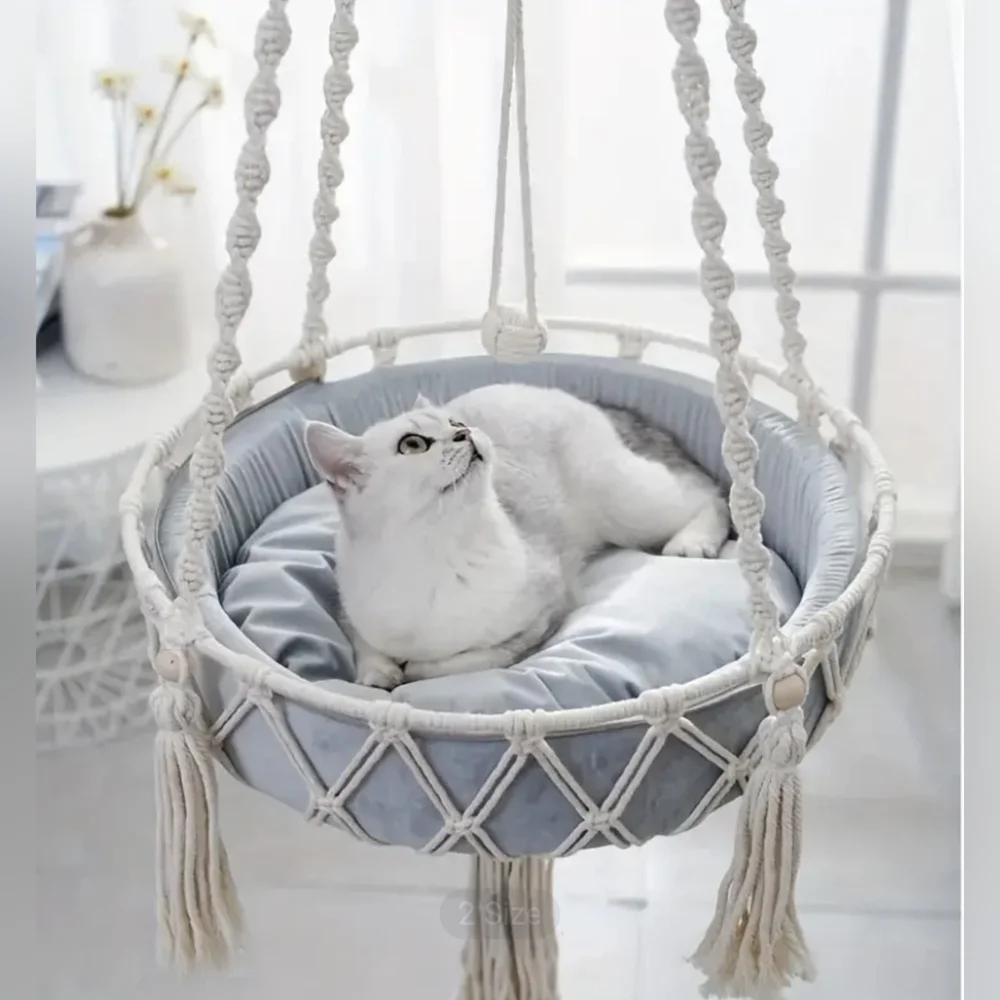 unbranded hanging cat