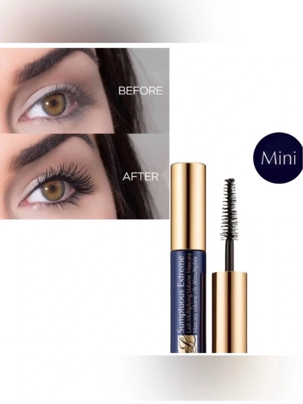 Estee Lauder estee lauder