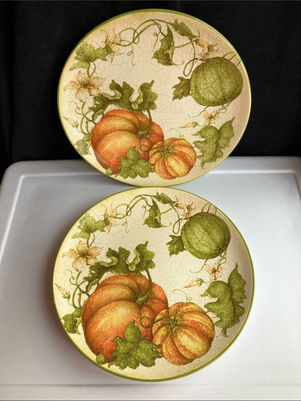 Pier 1 Harvest Garden 2 Dinner Plates 11