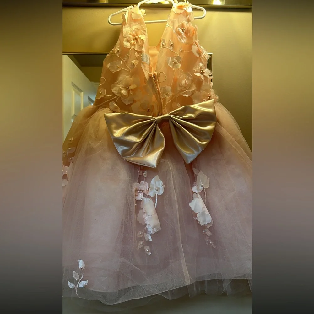 Girls Size 14 Blush Pink Floral Applique Tulle Party Dress w/ Satin Bow