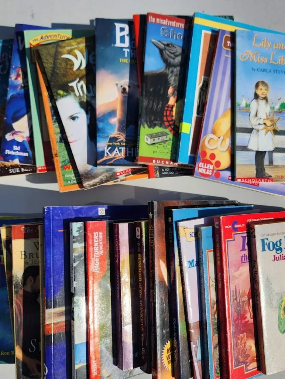 Scholastic book bundle