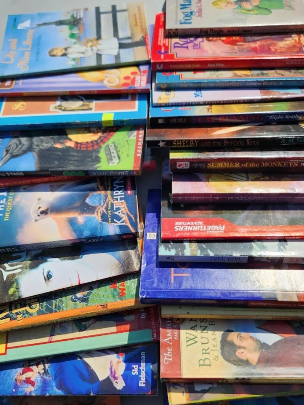 Scholastic book bundle