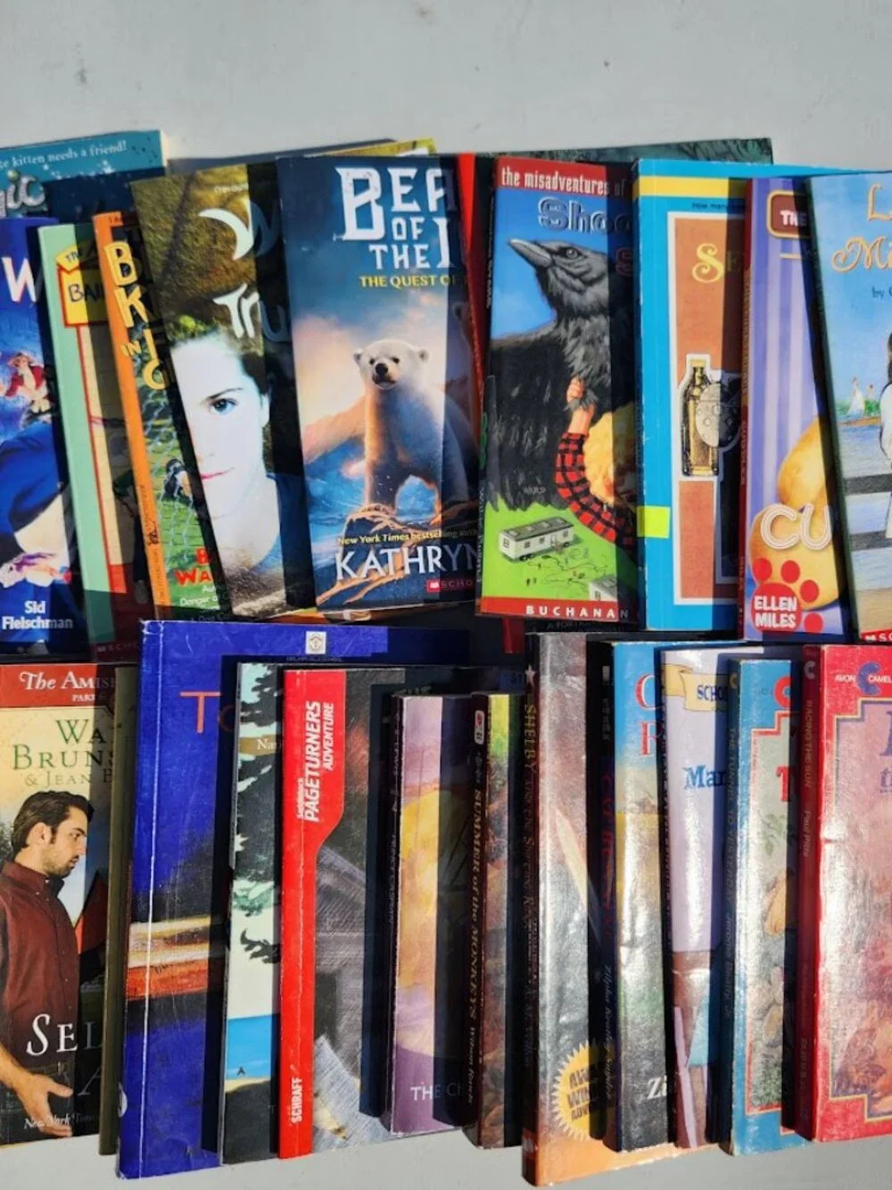 Scholastic book bundle