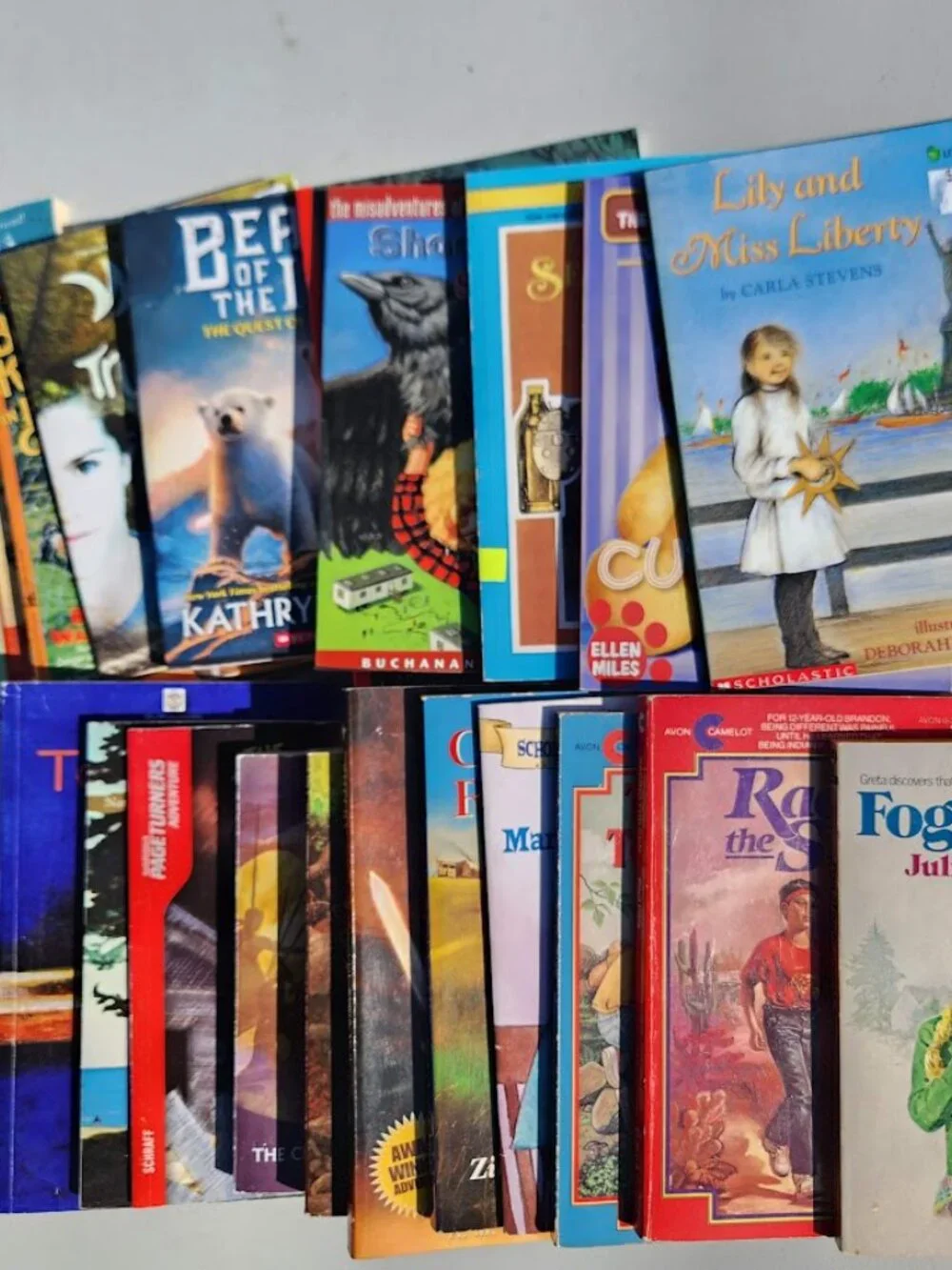 Scholastic book bundle
