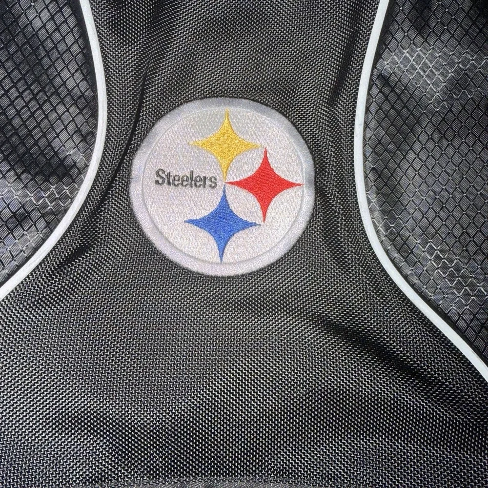 NFL owned laptop 18x12