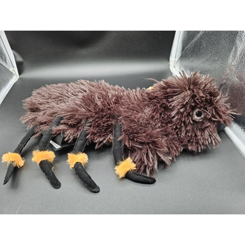 N/A hairy spider
