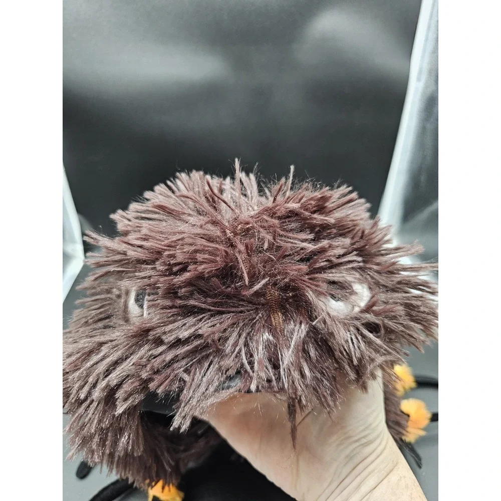 N/A hairy spider