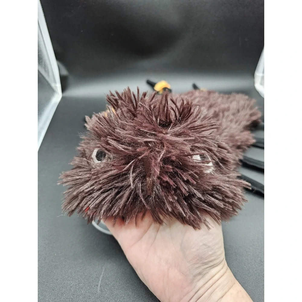 N/A hairy spider