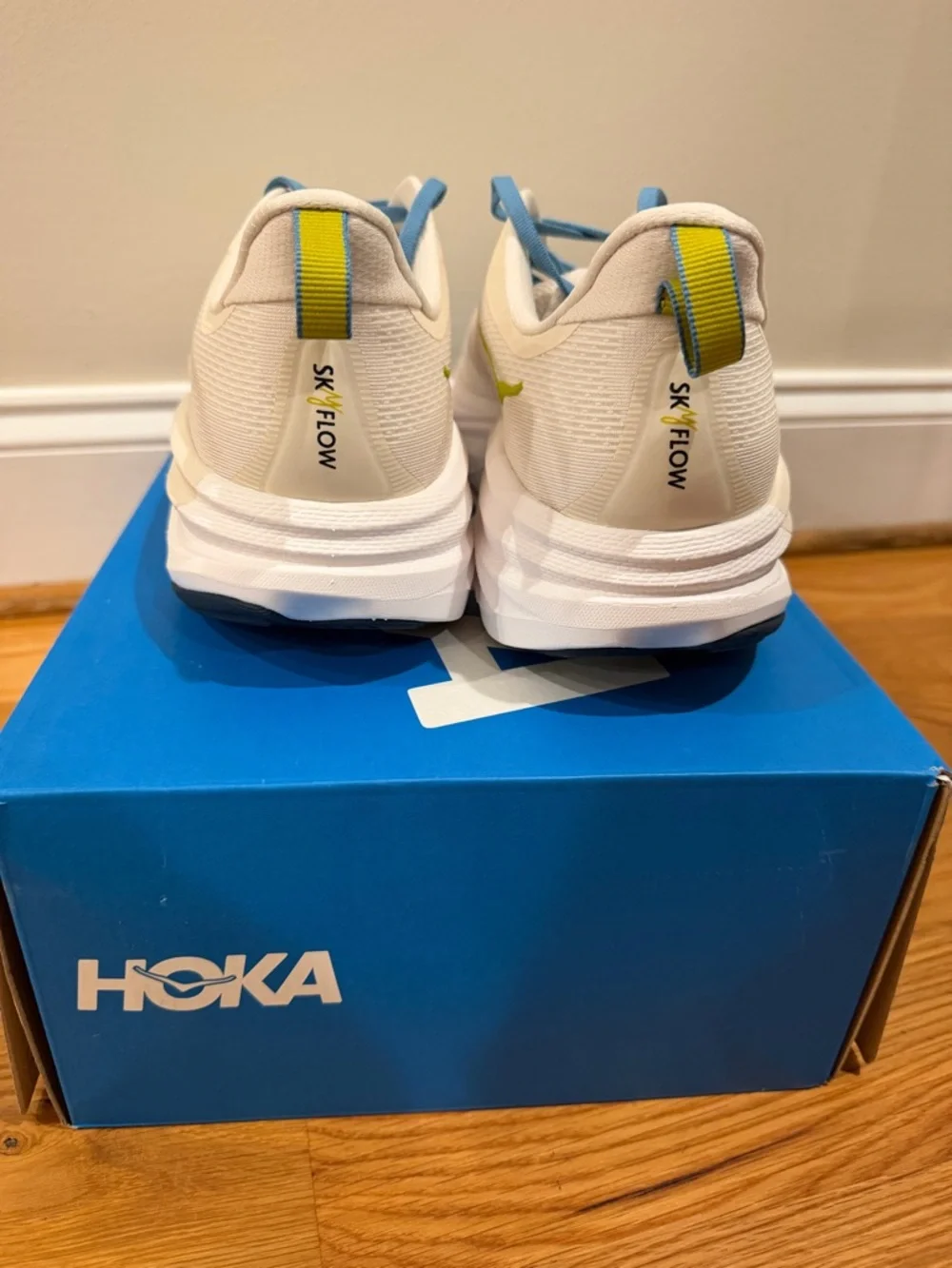 Hoka skyflow worn men