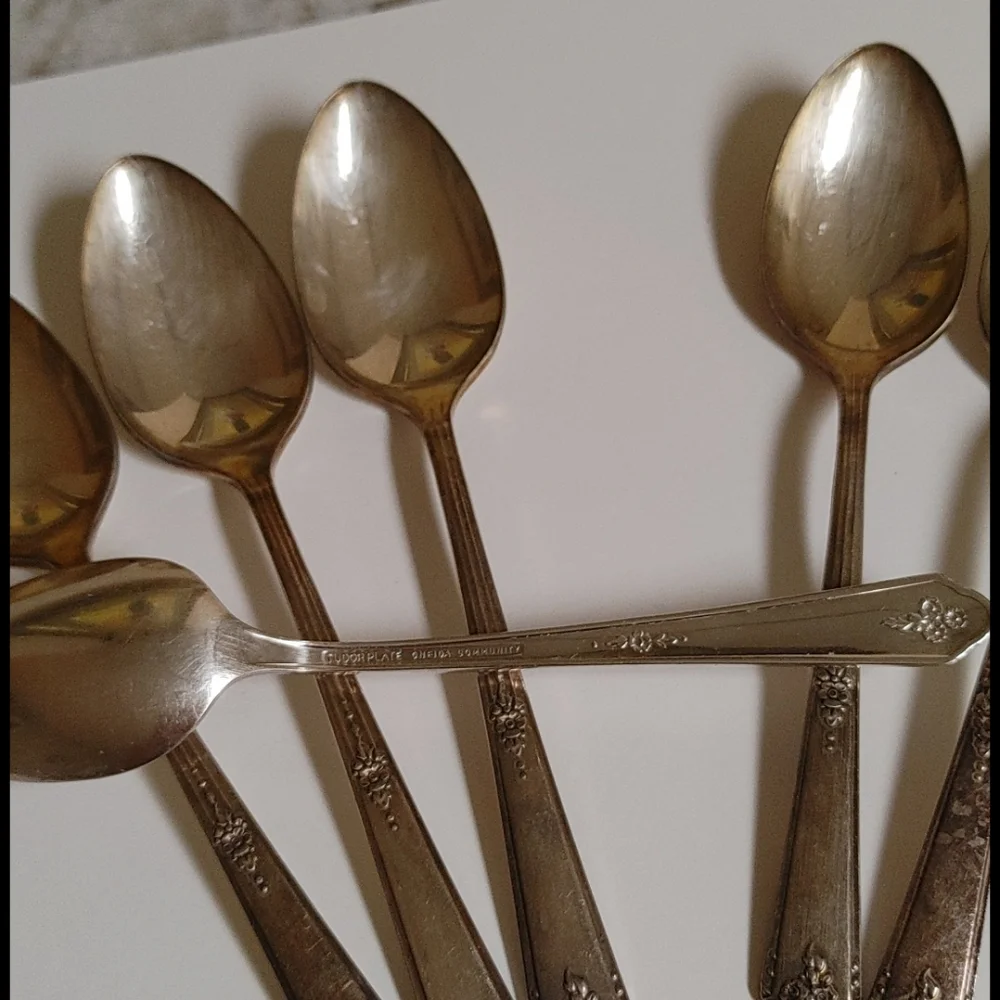 Oneida plate polished