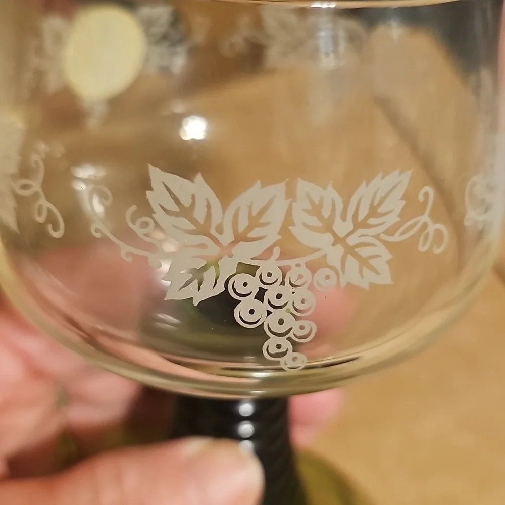 SCHOTT-ZWIESEL 5 Piece Vintage Drinkware from Germany