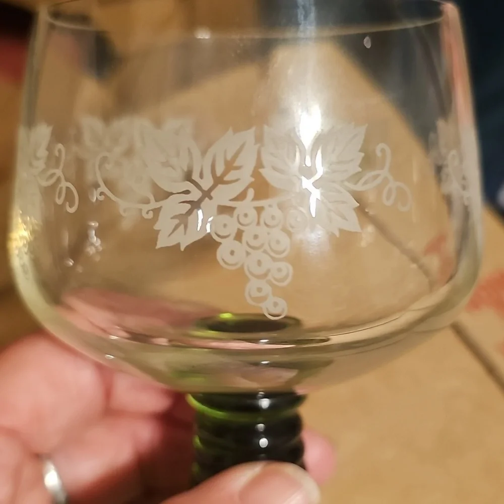 SCHOTT-ZWIESEL 5 Piece Vintage Drinkware from Germany