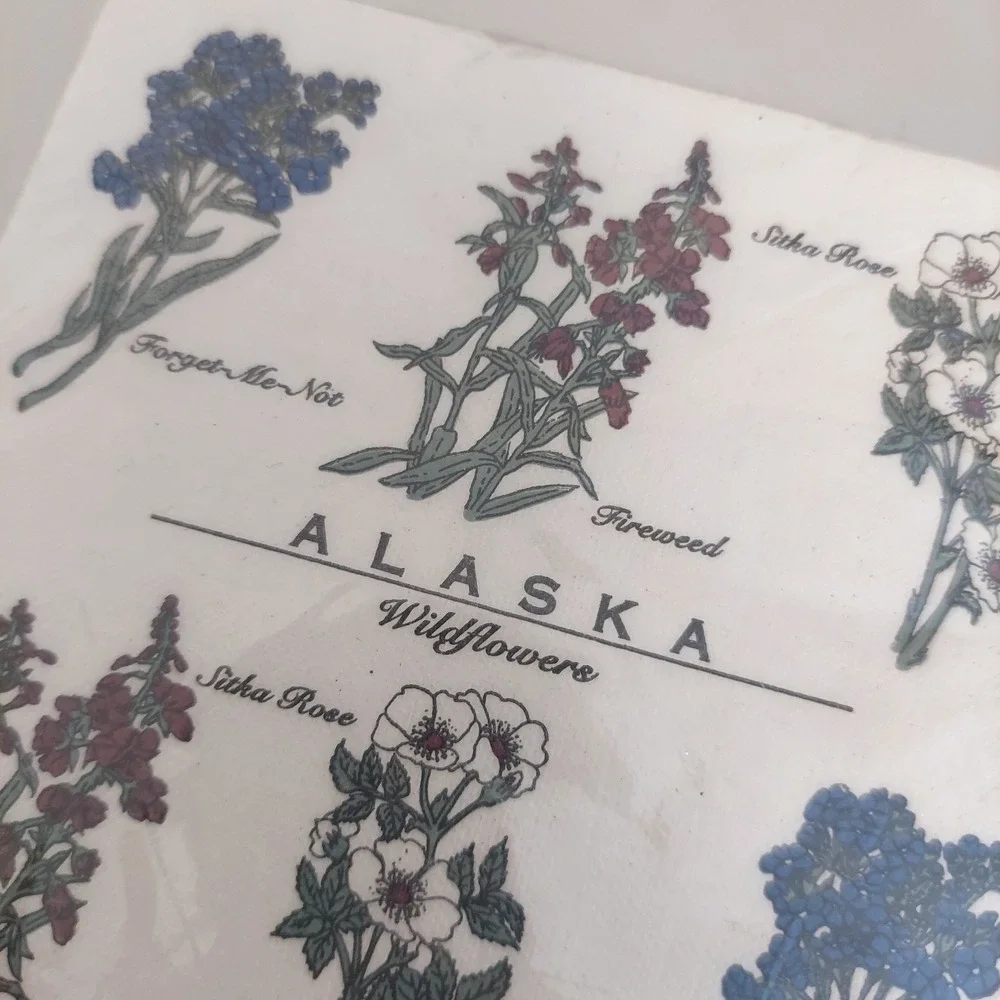 Vintage Alaska Wildflowers 24 Beverage Napkins Indian Arts & Crafts 10x10