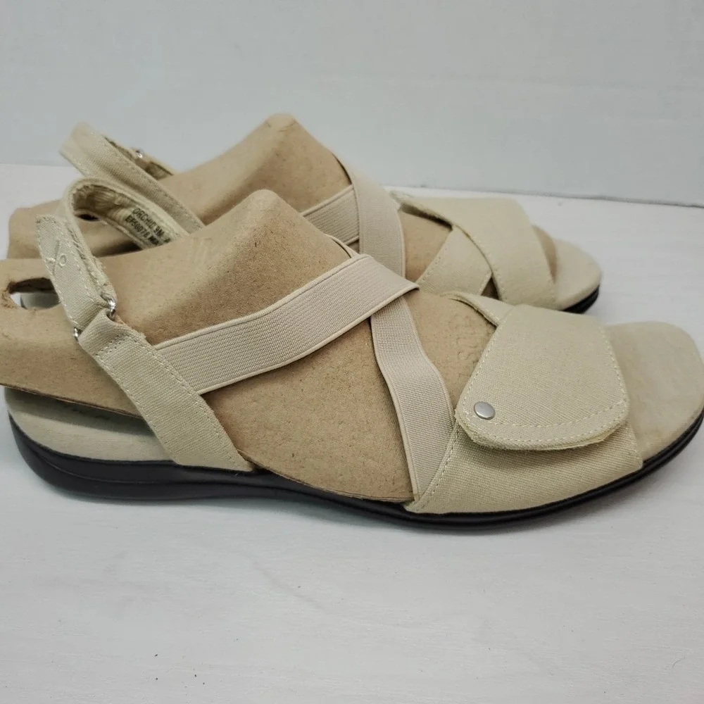 grasshoppers ortholite