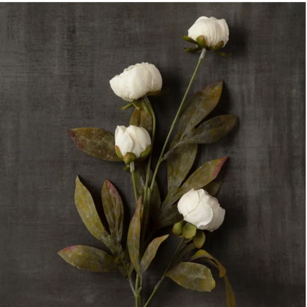 Ashland statement refresh