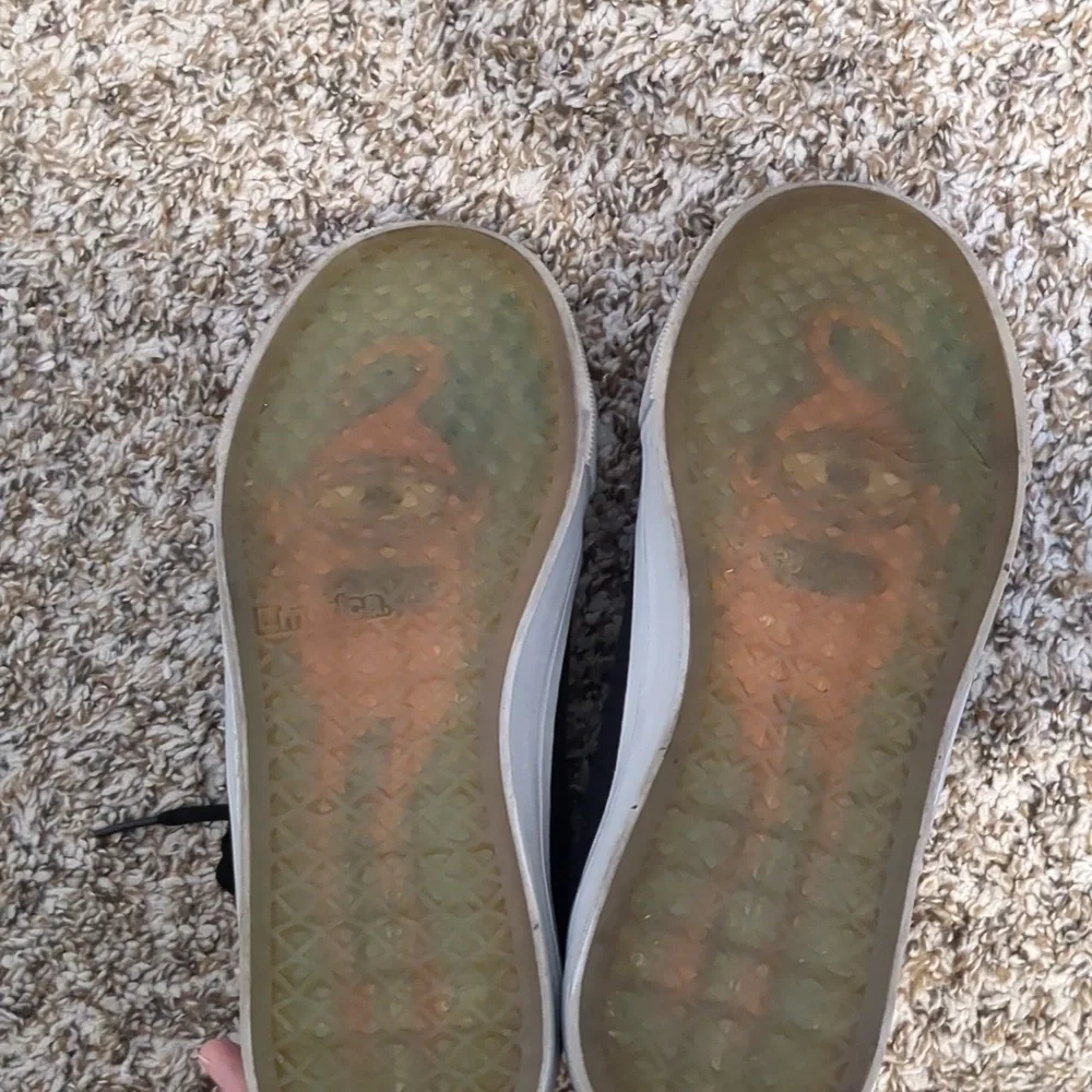 Emerica. high top