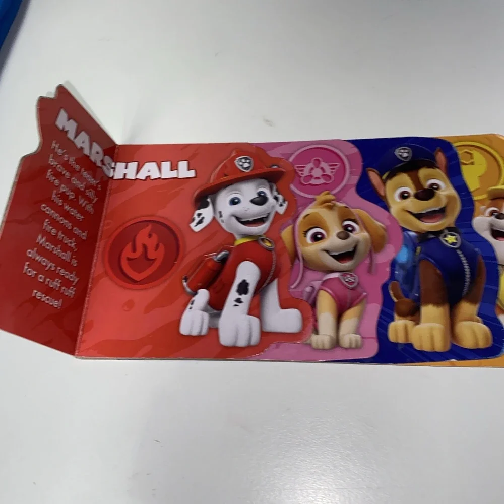Nickelodeon perfect width accessory