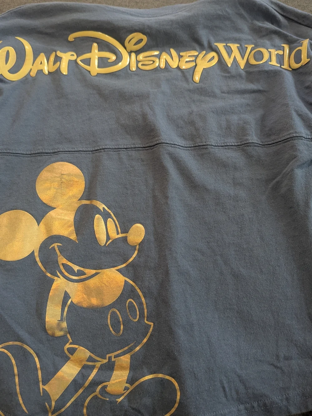 Disney stains or wash
