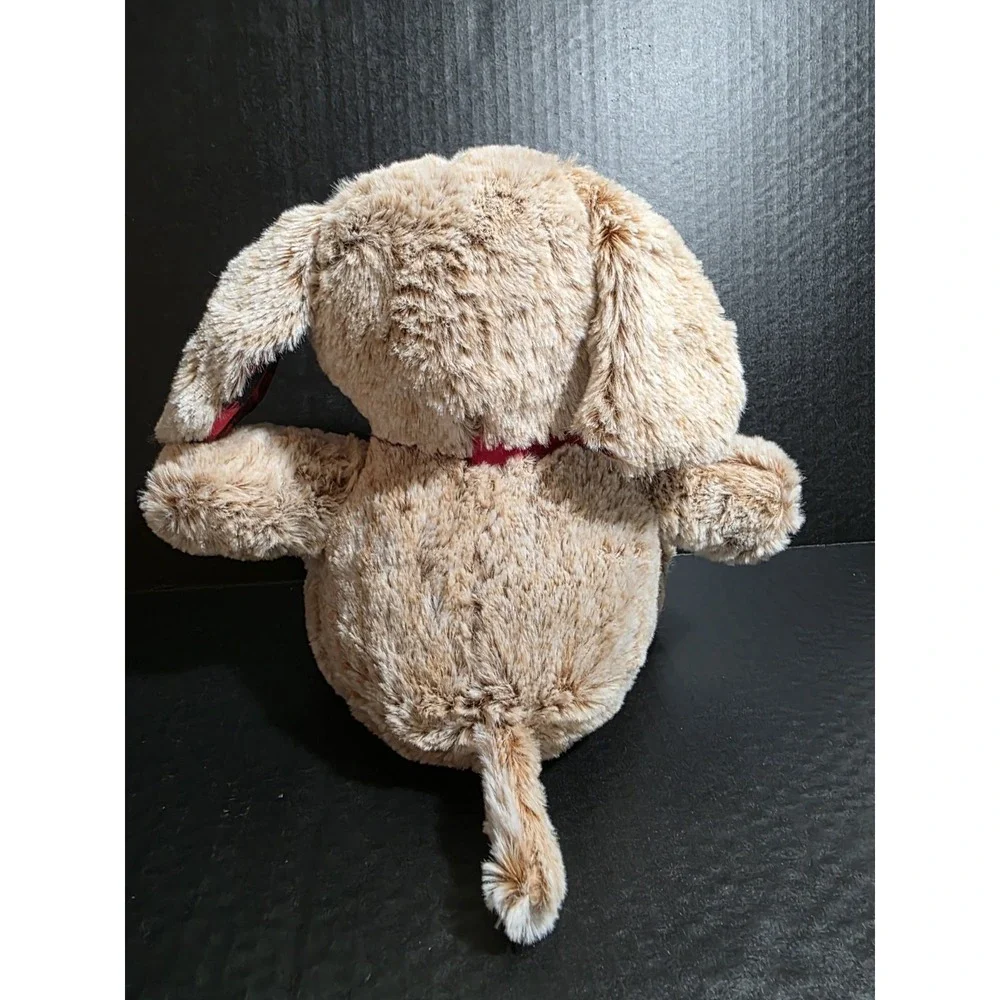 Petsmart Dog Chance 11