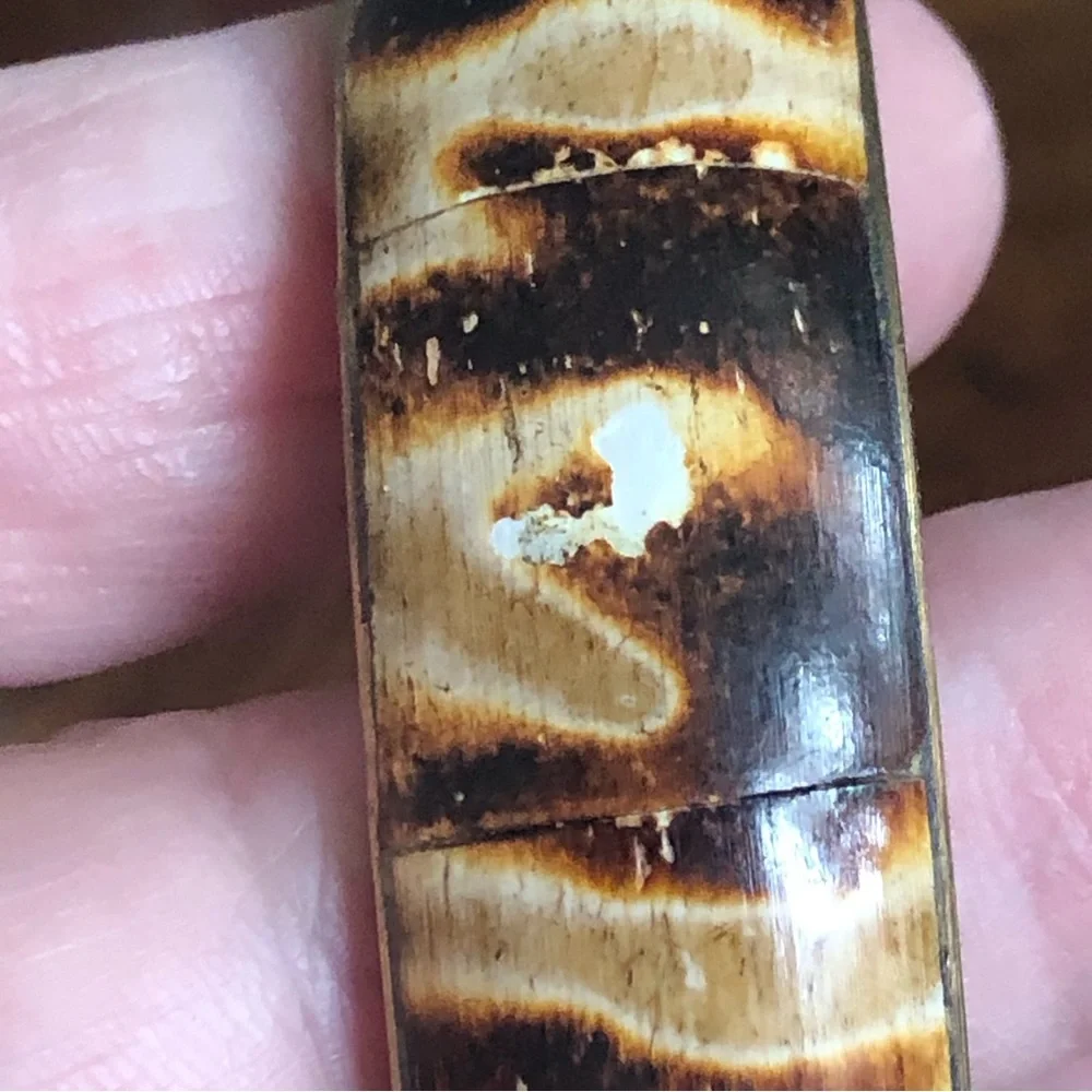 Vintage solid brass rare nautilus fossil bangle bracelet NWT