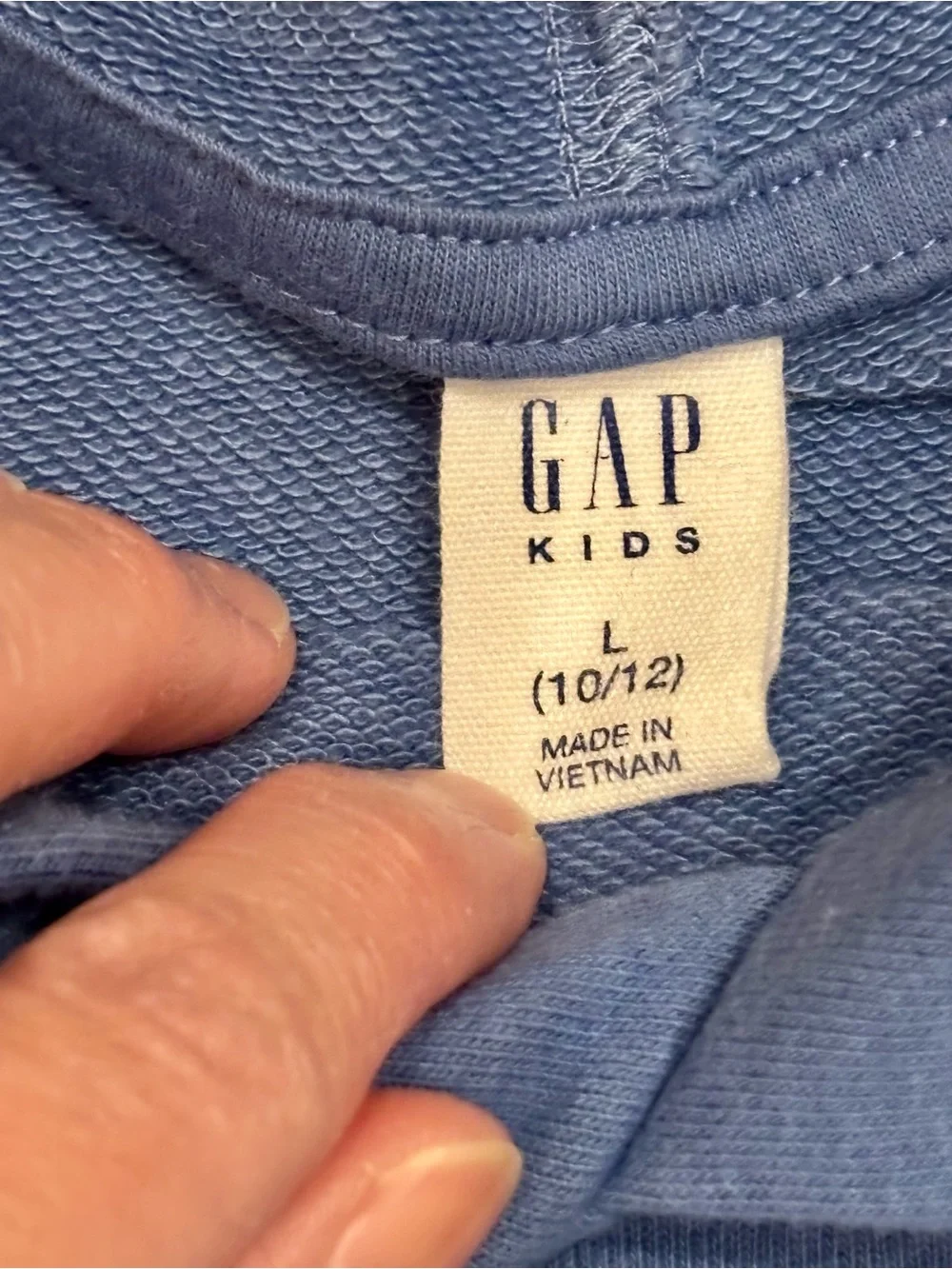 Big Kids Gap Hoodie