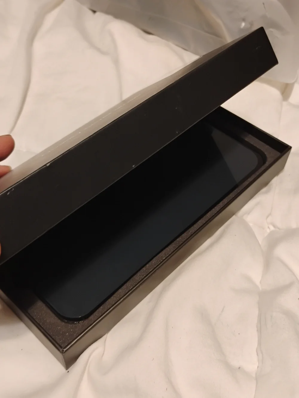 12 Pro Max Privacy Screen