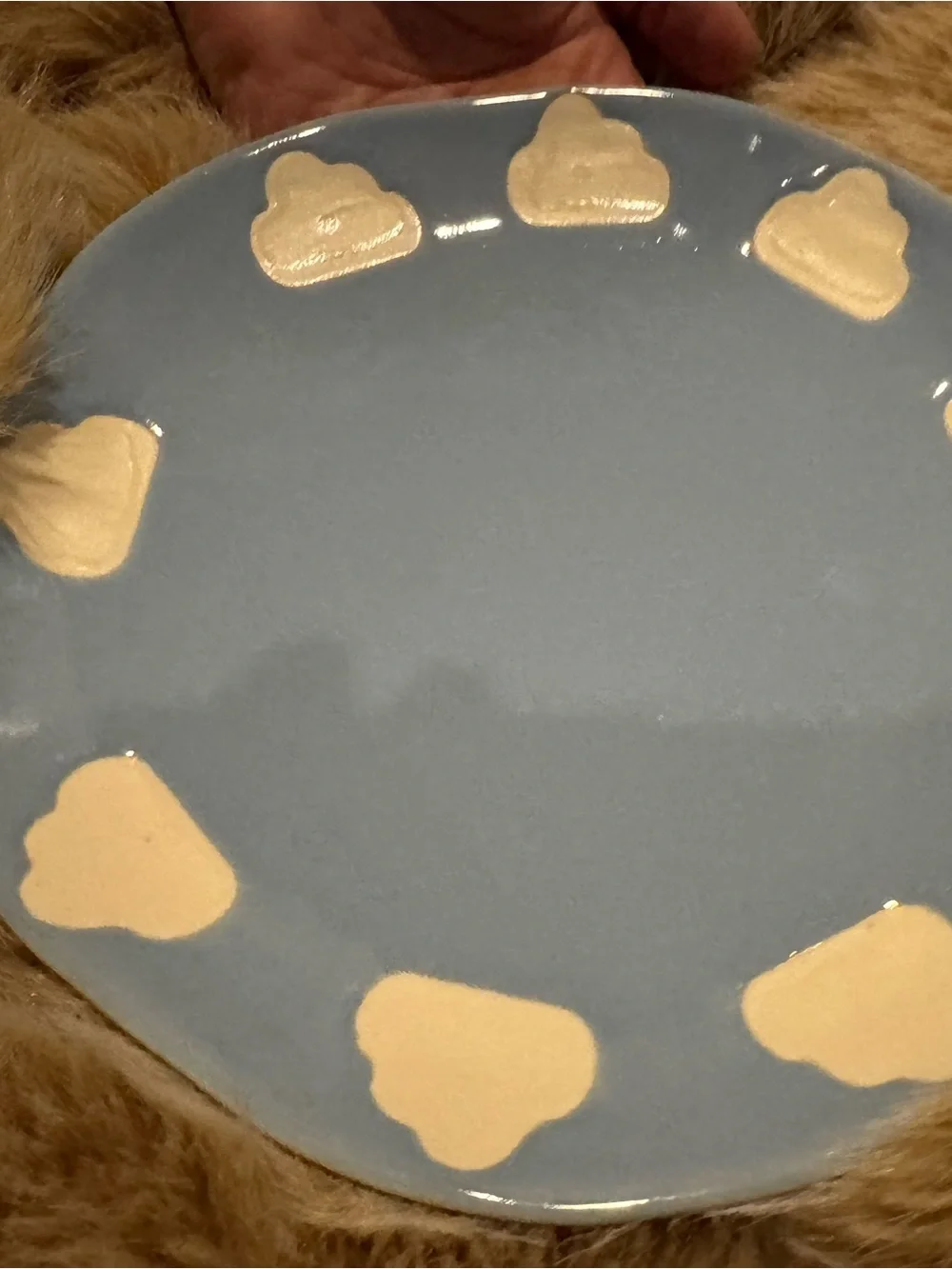 Anthropologie glossy sky