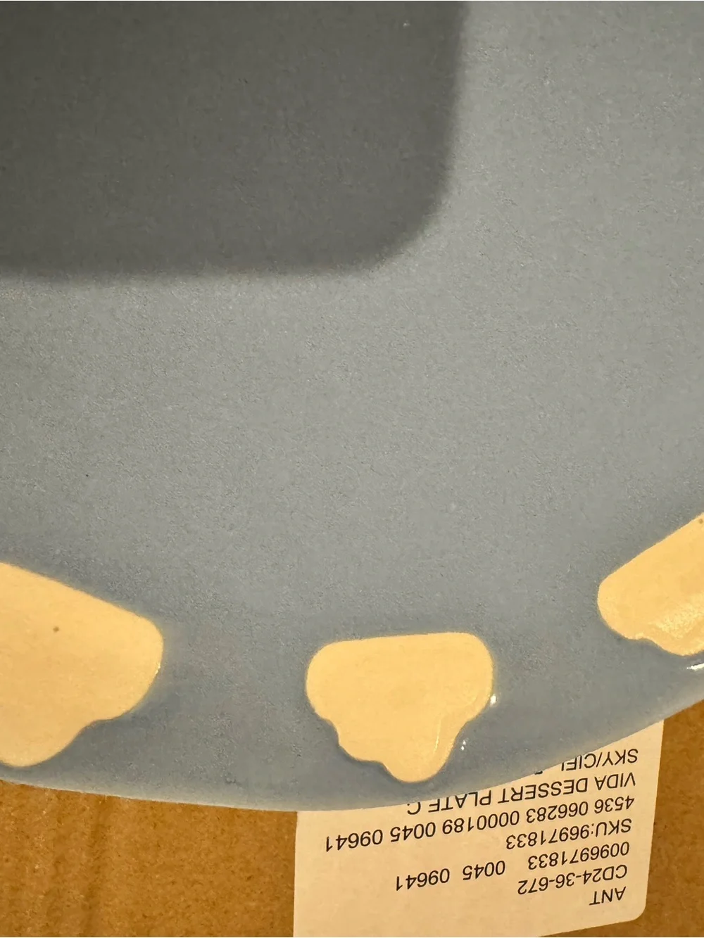Anthropologie glossy sky
