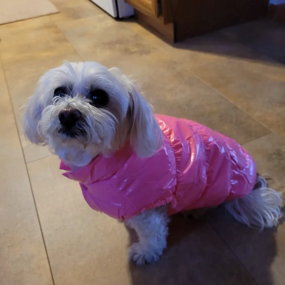 Brand new pink puffer dog jacket – Size Medium 💗🐶