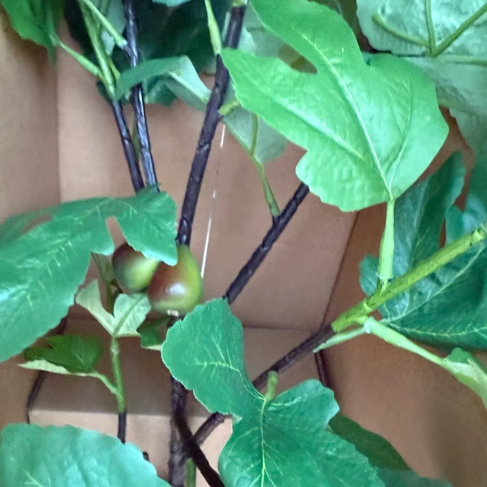 40