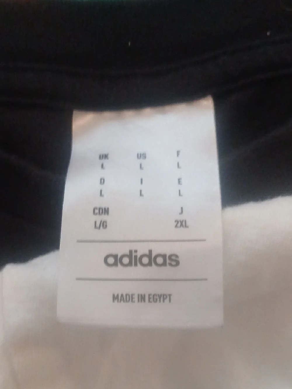 adidas two short