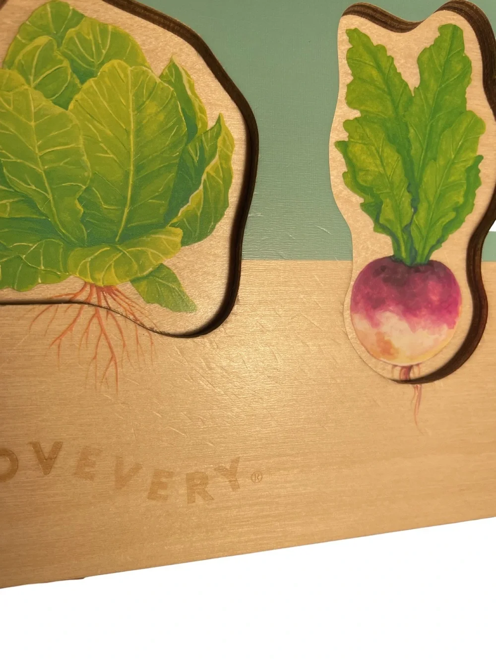 LOVEVERY 🌱 community