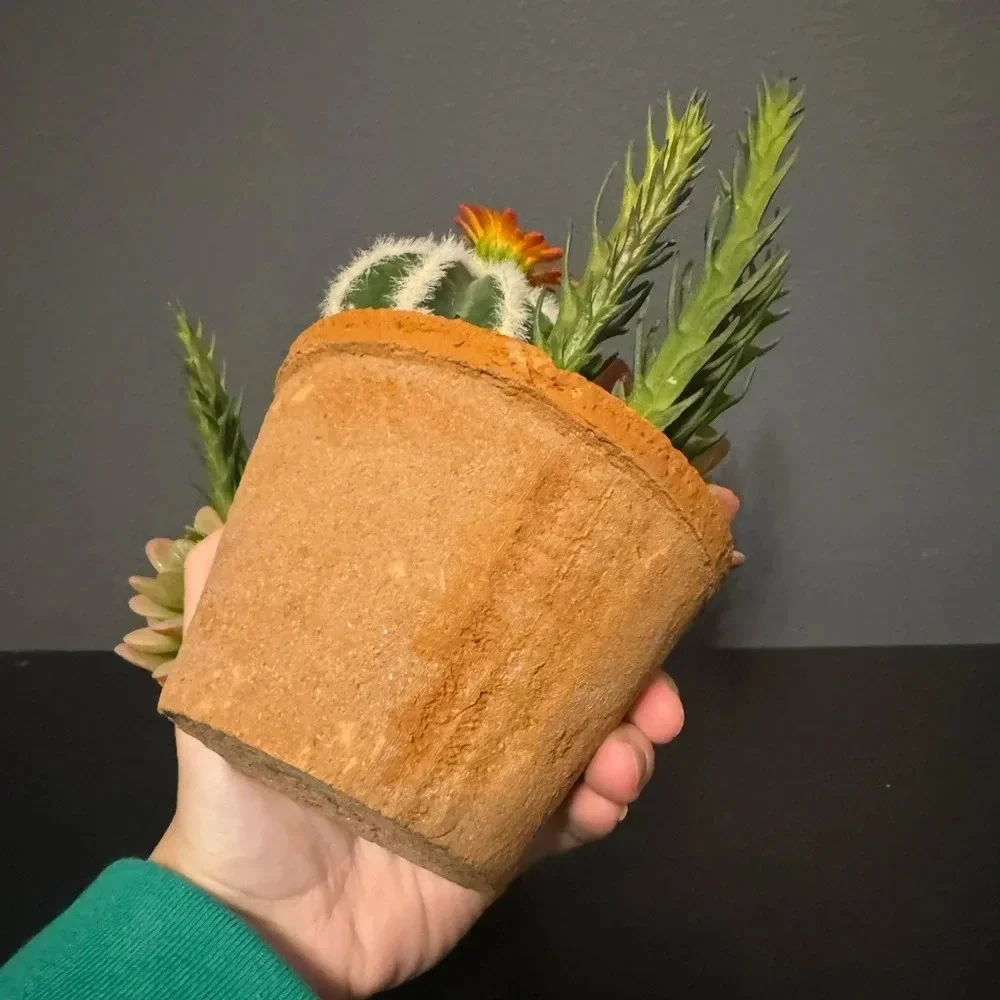 Fake succulent decor set of 2