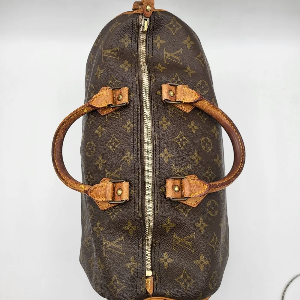 Louis Vuitton normal description