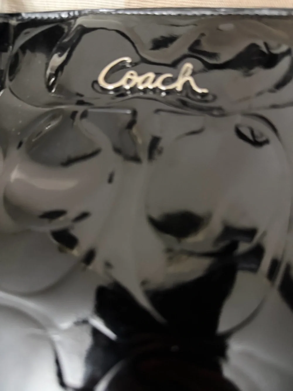 Coach see polished