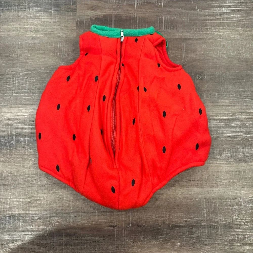 Dress Up America adorable strawberry