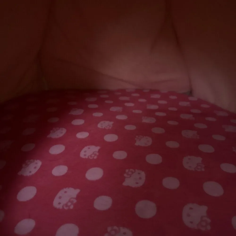 Shobido sanrio dome