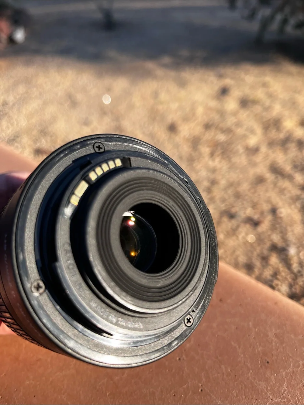 Canon dslr body