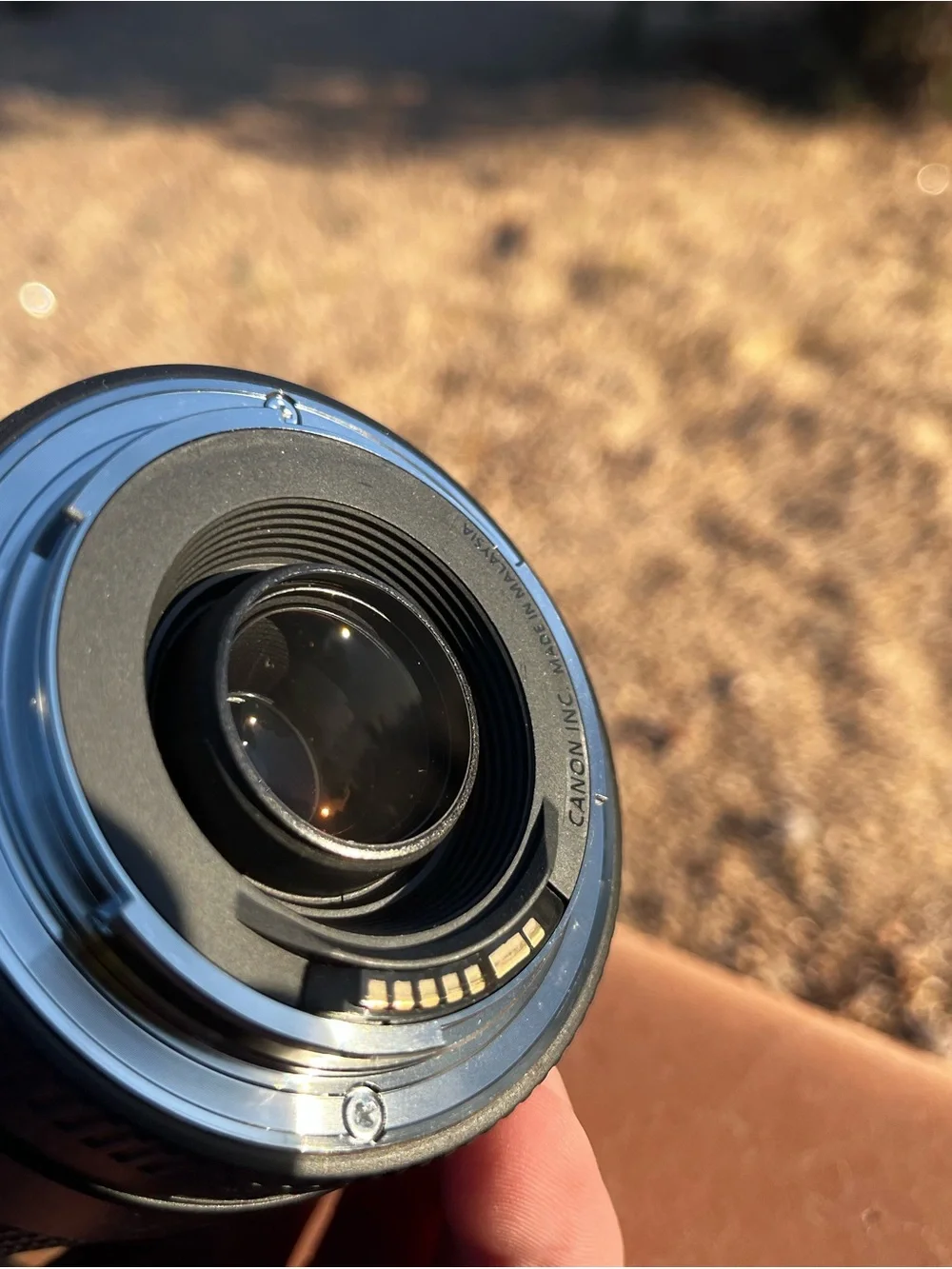 Canon dslr body