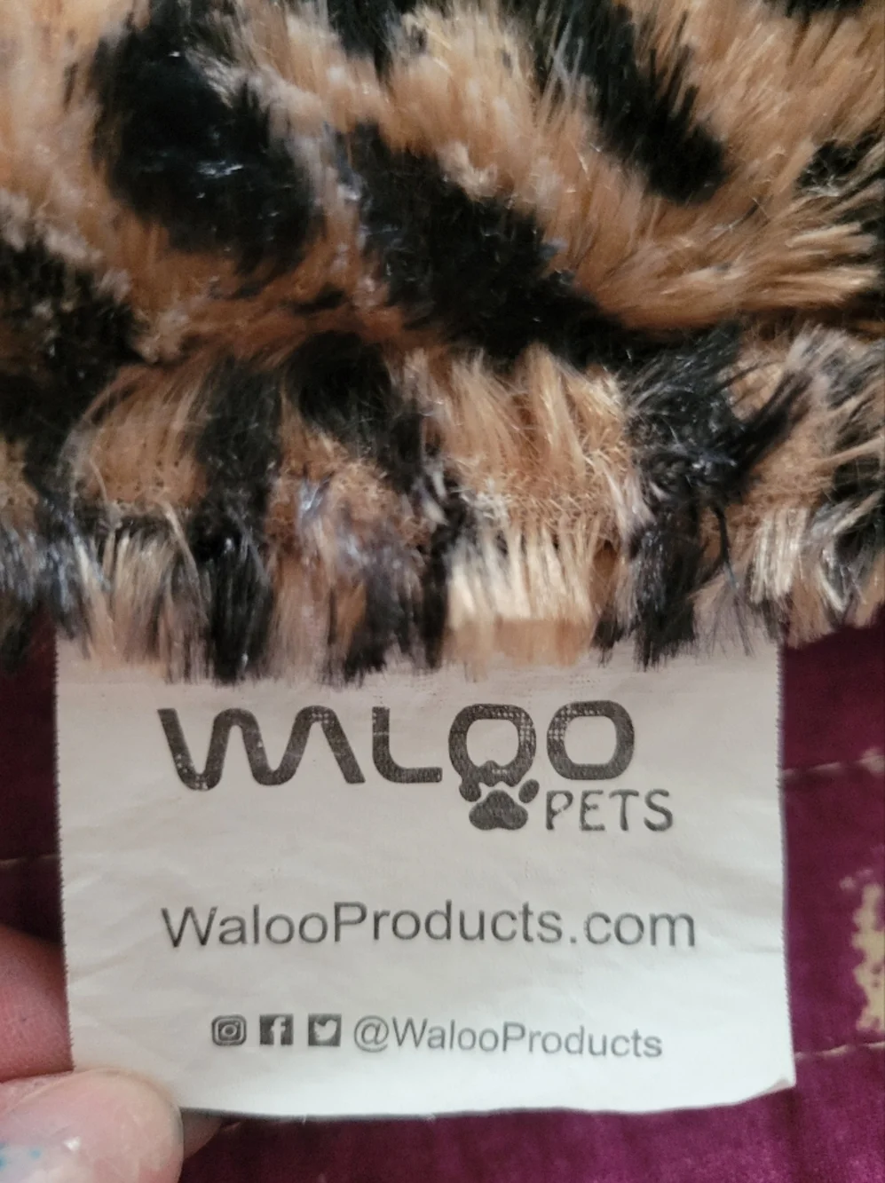 Waloo Pets waloo pets