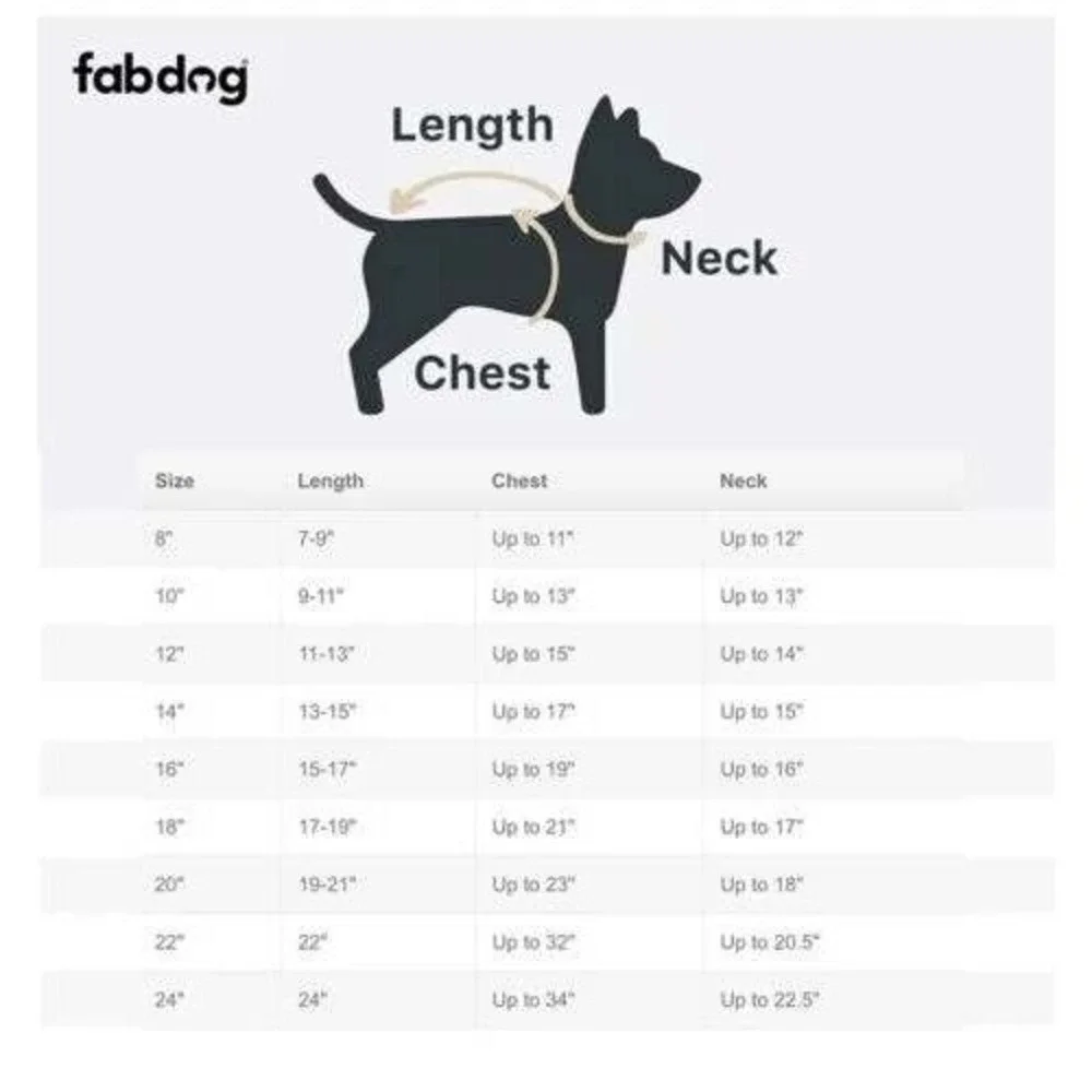 Fab Dog fab dog