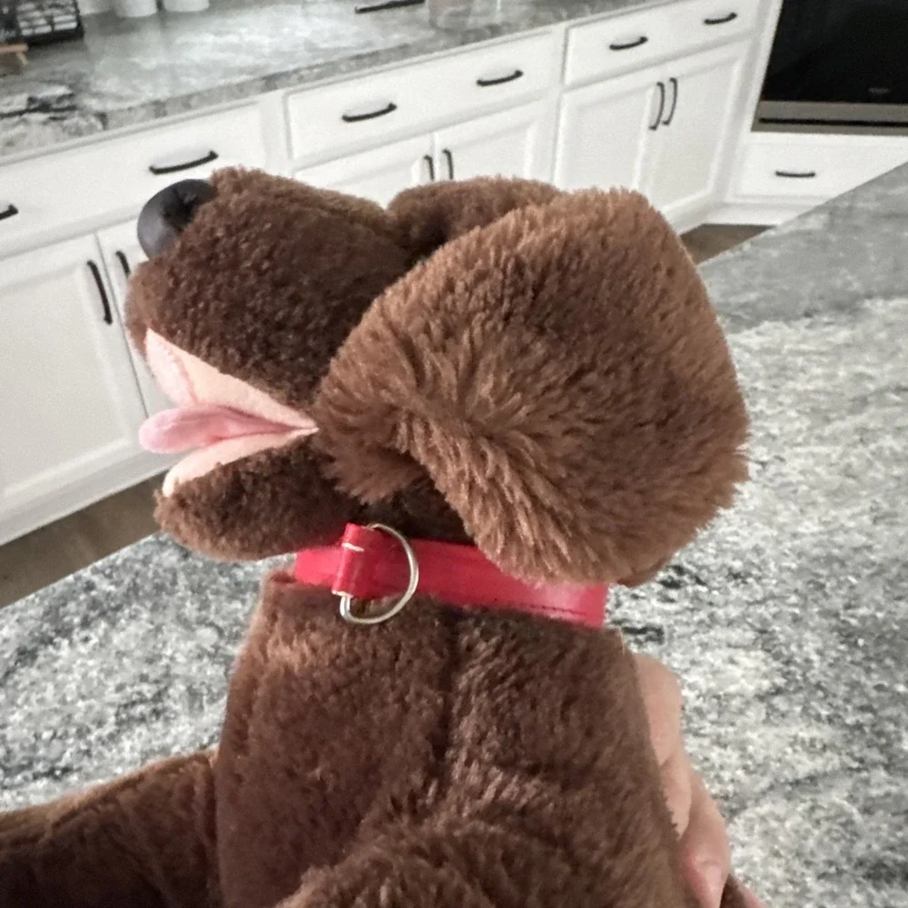 Build-A-Bear Workshop this 12