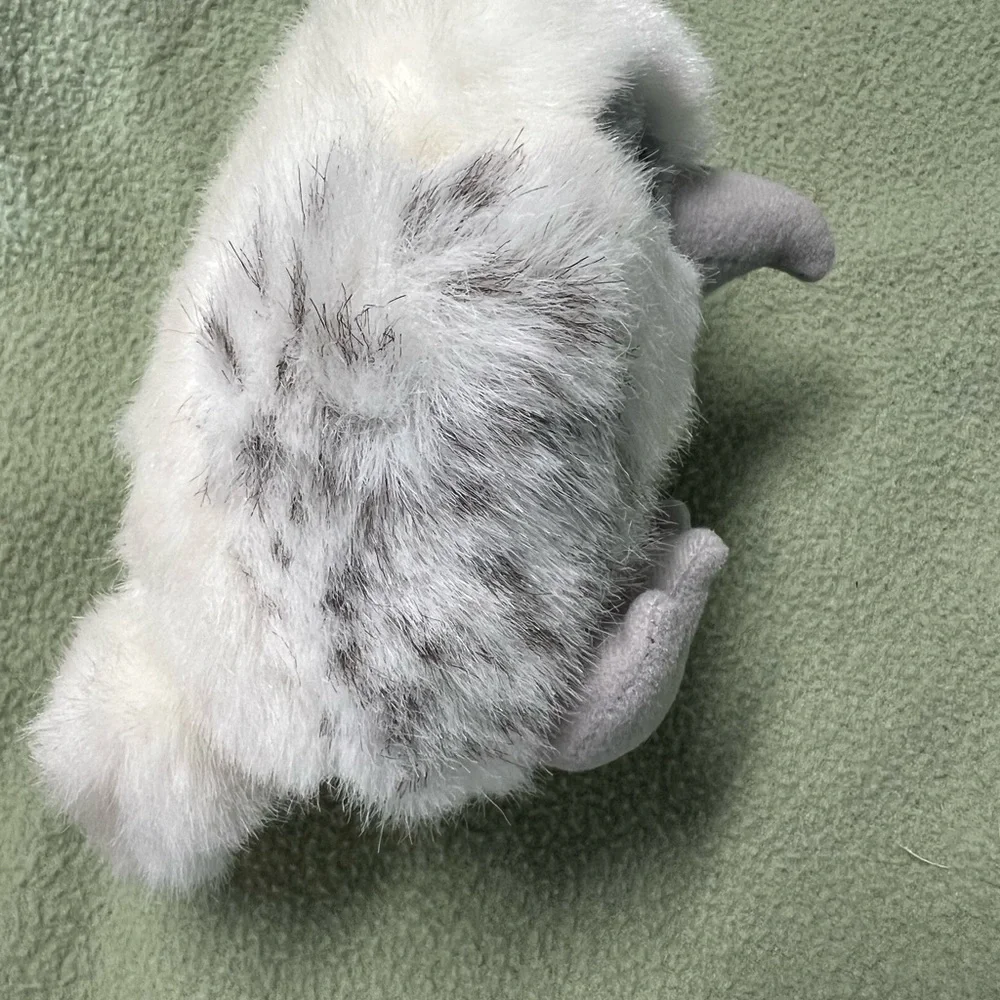 Puffin adorable gray