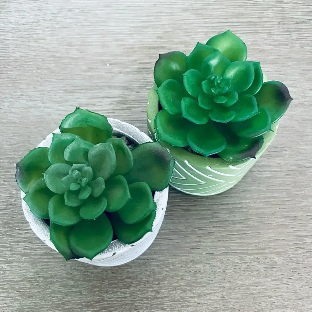 2-pc Succulent Greenery Artificial Boho Modern Potted Plants Lot
